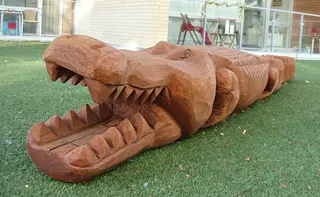 Krokodille, Douglasgran/lerk L350 x H45 cm