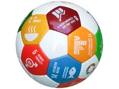 Global Goals fotball Str 4,5