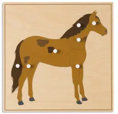 Animal Puzzle: Horse