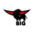 Big Big