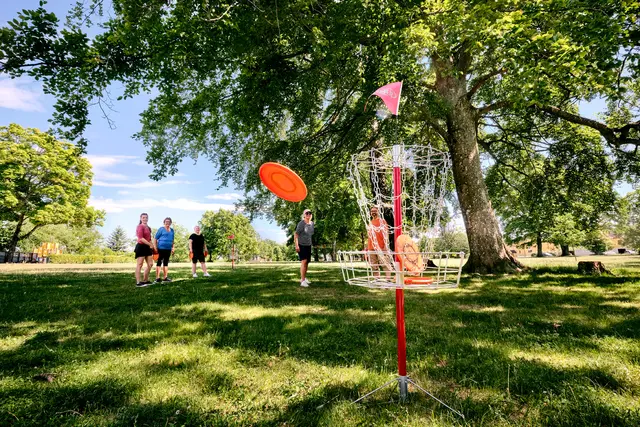 Discgolf mål H130 cm 
