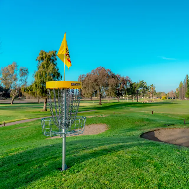 Innova Discatcher Pro 28 