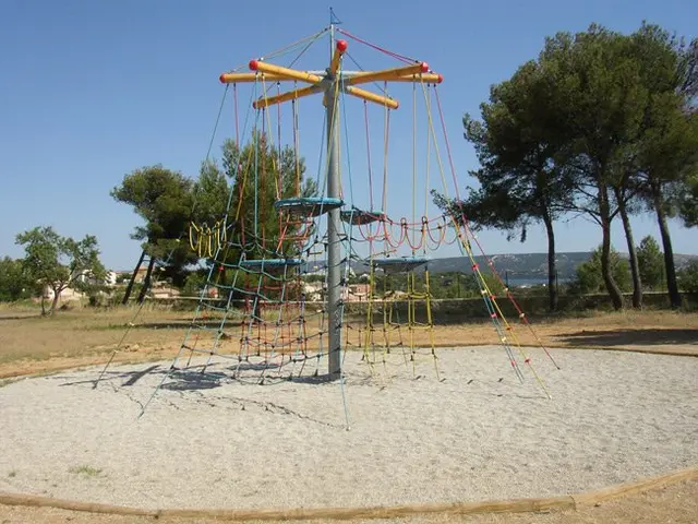 Birdnest klatremiljø L800 x B800 x H600 cm 