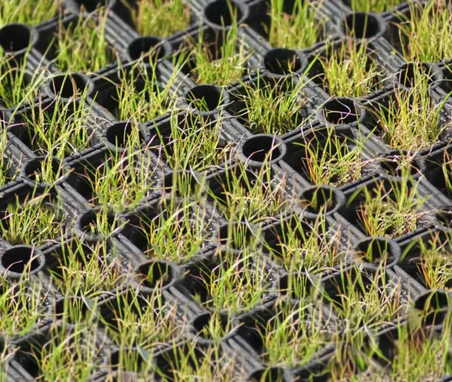 Gressarmeringsmatte 1 matte er 1,5 m² 