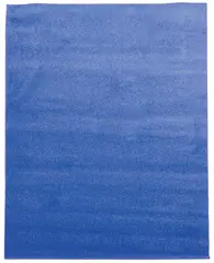 Teppe Blå L200 x B300 cm