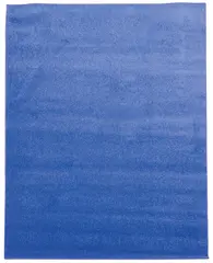 Teppe Bl&#229; L200 x B300 cm