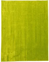 Teppe Gr&#248;nn L300 x B400 cm