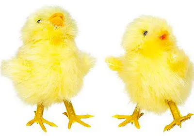 Kyllingføtter H25 mm, 25 par 