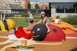 Marihøne gummidyr 3D-figur L175 x B140 x H87 cm