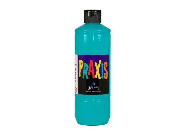 Praxis skolemaling turkis 500 ml 