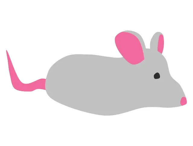 Mus gummidyr 2D-figur L63 x B30 cm 