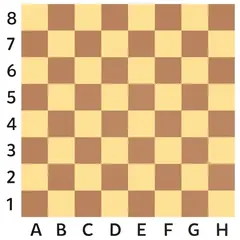 Sjakk 2D-figur L320 x B320 cm