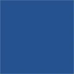 Caran d&#39;Ache Neocolor I kobolt bl&#229; 10 stk