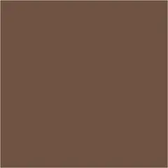 Caran d&#39;Ache Neocolor I brun 10 stk