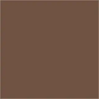 Caran d'Ache Neocolor I brun 10 stk