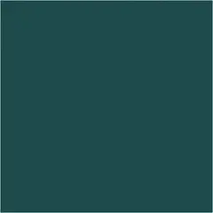 Caran d&#39;Ache Neocolor I gr&#248;nn 10 stk