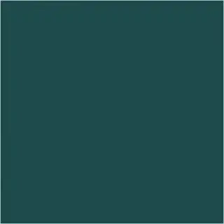 Caran d'Ache Neocolor I grønn 10 stk