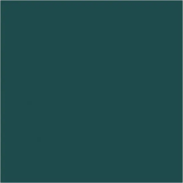 Caran d'Ache Neocolor I grønn 10 stk 