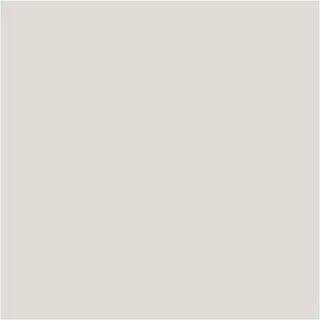 Caran d'Ache Neocolor I hvit 10 stk