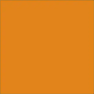 Caran d'Ache Neocolor I oransje 10 stk