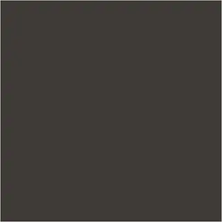 Caran d'Ache Neocolor I sort 10 stk