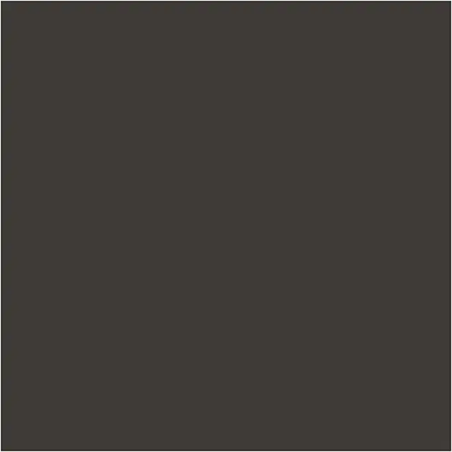 Caran d'Ache Neocolor I sort 10 stk 