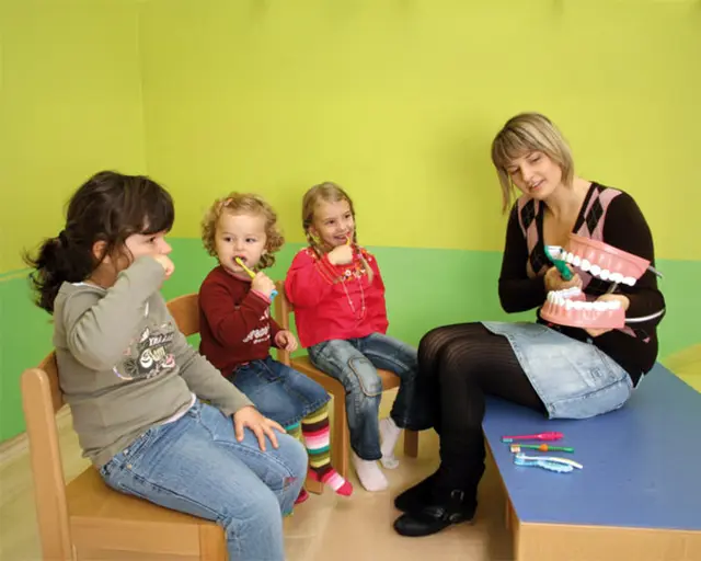 Demonstrasjonssett av tenner B24 x D19 x H14 cm 