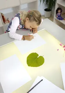 Bio lysbord inkl. lokk B110 x D110 x H73 cm