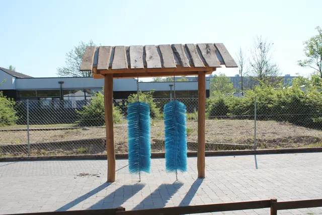 Bilvask L240 x B174 x H240 cm 