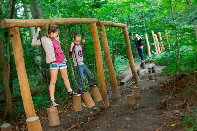 Balansestativ med 4 stubber L280 x B20 x H210 cm 