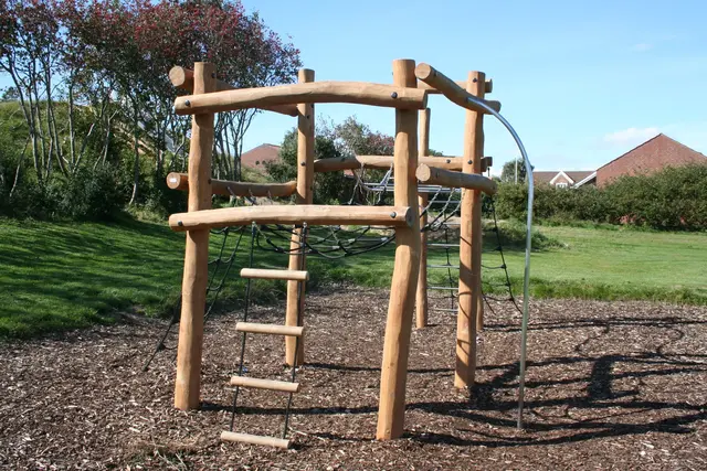 Core klatresystem i robinia L690 x B360 x H290 cm 