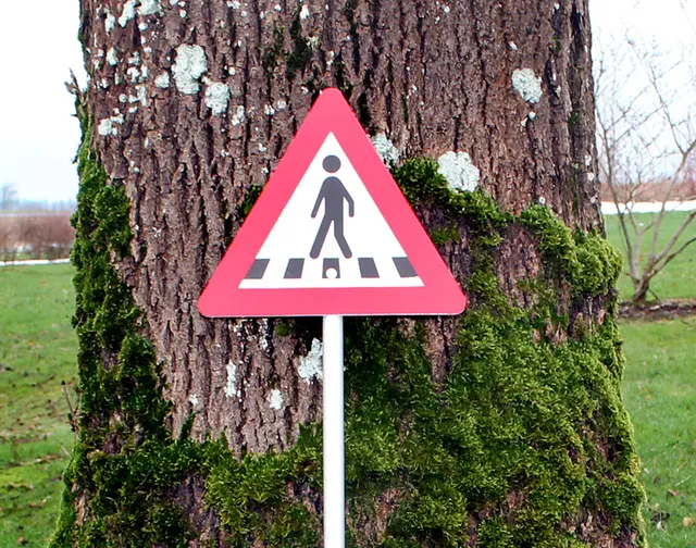 Trafikkskilt fotgjengerovergang 
