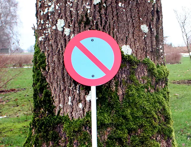 Trafikkskilt Parkering forbudt 