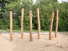 Core robinia balansegang