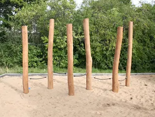 Core robinia balansegang