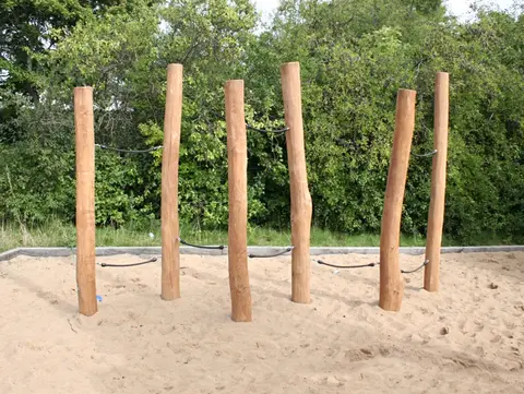 Core robinia balansegang