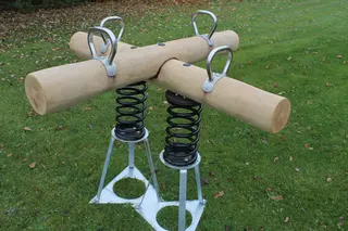 Core robinia kryssvippe