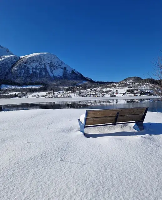 Tuva Rest benk med rygg B158 x H45 cm 