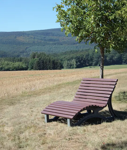 Aveto sun lounger grå/brun B150 x D28 x H34 cm 
