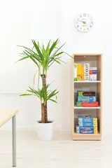 Quadro L reol smal B42 x D42 x H125 cm