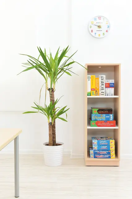 Quadro L reol smal B42 x D42 x H125 cm 