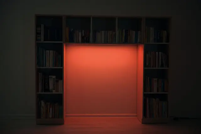 Quadro reol med ledlys B201 x D42 x H162 cm 