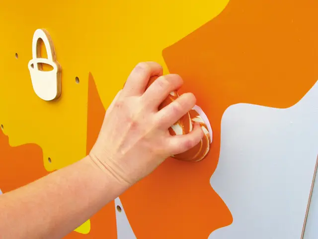 Klatrevegger årstider sett B466 x D2 x H246 cm 