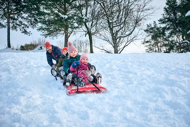 Akematte snow glider L200 x B50 x H5 cm 