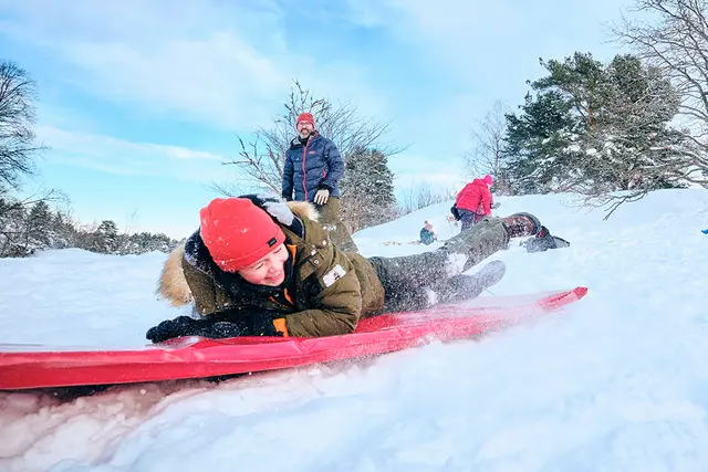 Akematte snow glider L200 x B50 x H5 cm 