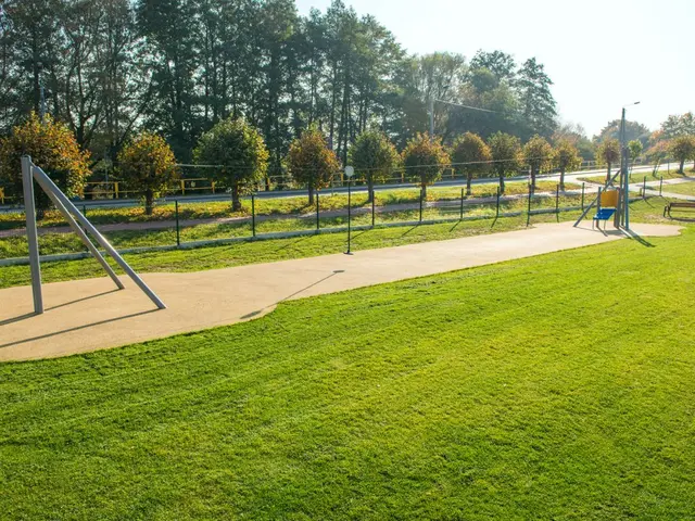 Taubane i stål L2400 x B305 x H350 cm 