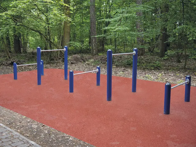 A4K hinderløype L812 x B128 x H124 cm 