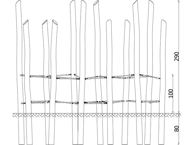 Robinio klatrejungel L385 x B151 x H290 cm 