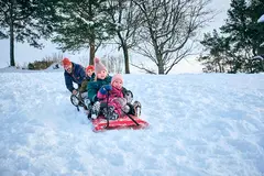 Akematte snow glider L182 x B50 x H5 cm