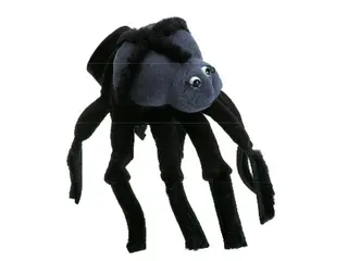 Hånddukke edderkopp